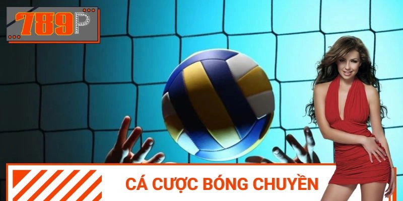 Cá Cược Bóng Chuyền - Cơ Hội Giành Về Phần Thưởng Hấp Dẫn